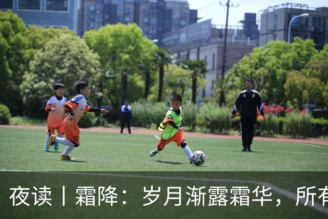夜读丨霜降：岁月渐露霜华，所有期待终将抵达