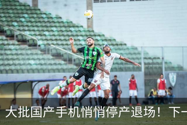 大批国产手机悄悄停产退场！下一个扛不住的是谁？