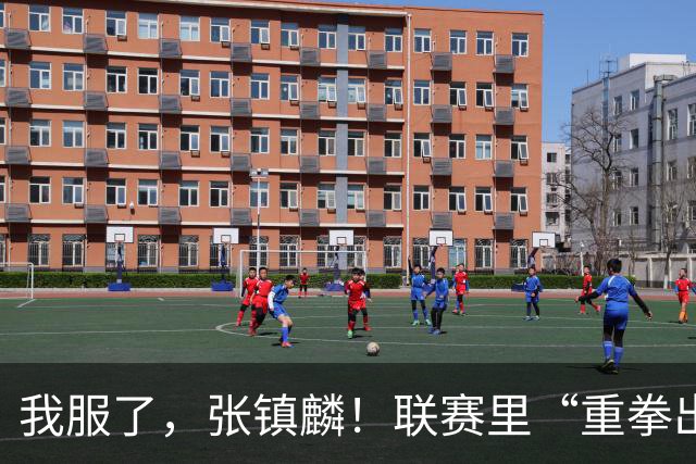 我服了，张镇麟！联赛里“重拳出击”国家队比赛却因伤避而不进！杨毅说得真没错