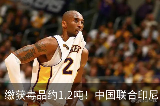 缴获毒品约1.2吨！中国联合印尼、马来西亚破获一起特大跨国制贩毒案