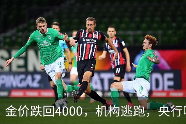 金价跌回4000，机构逃跑，央行吃饱，你相信谁？